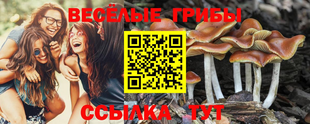 Псилоцибиновые грибы Magic Shrooms Чебоксары
